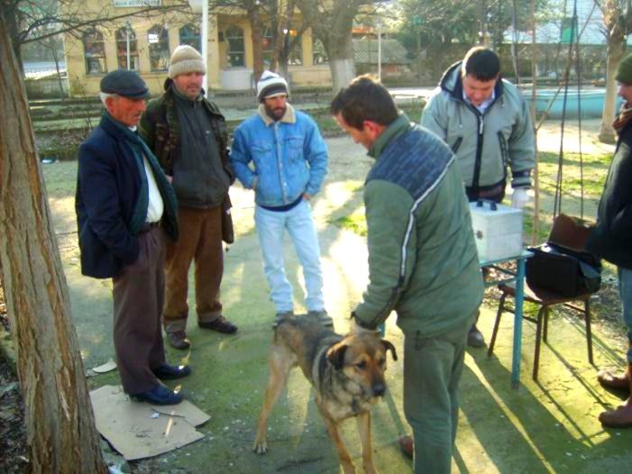 Beldemizdeki kedi ve köpeklere kuduz aşısı yapıldı