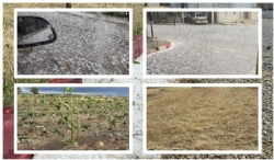 Beldemizde etkili olan dolu yağışı tarım arazilerinde ciddi zarara yol açtı…