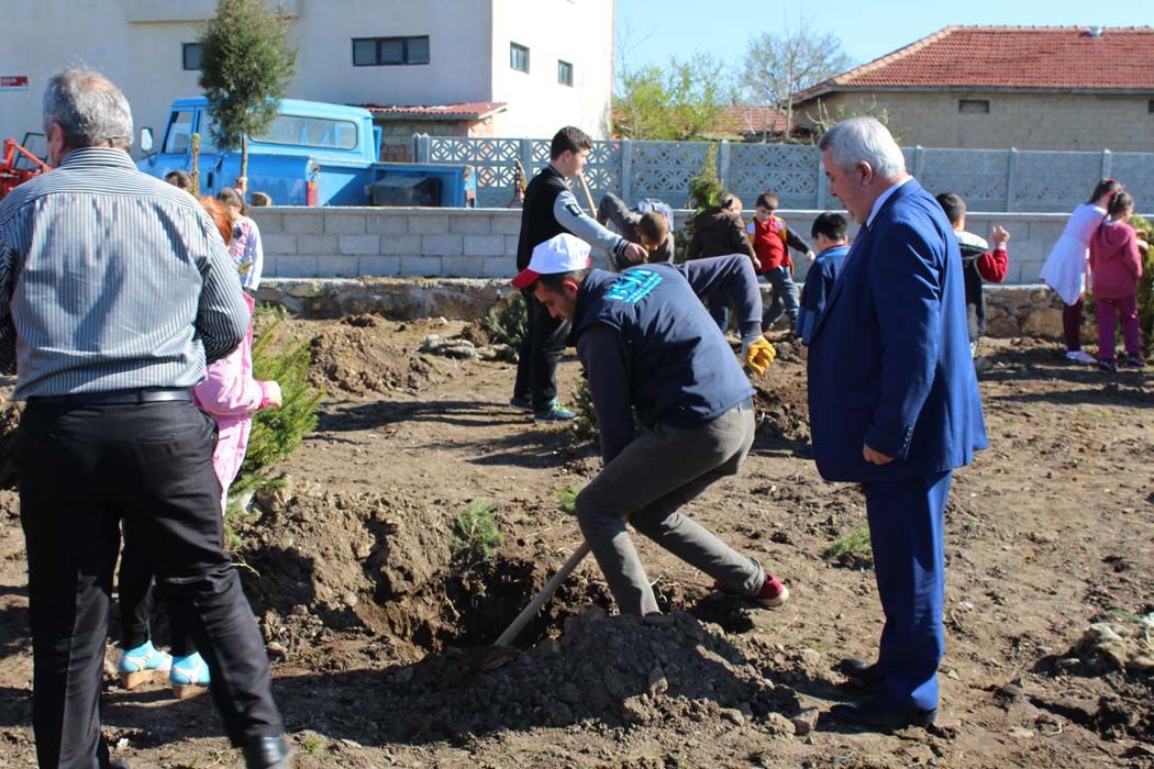 AÄžAÃ‡LANDIRMA Ã‡ALIÅžMALARI (2018)