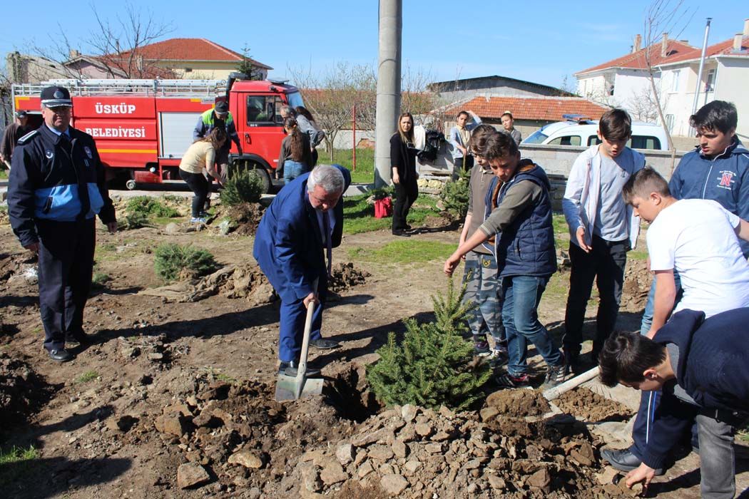 AÄžAÃ‡LANDIRMA Ã‡ALIÅžMALARI (2018)