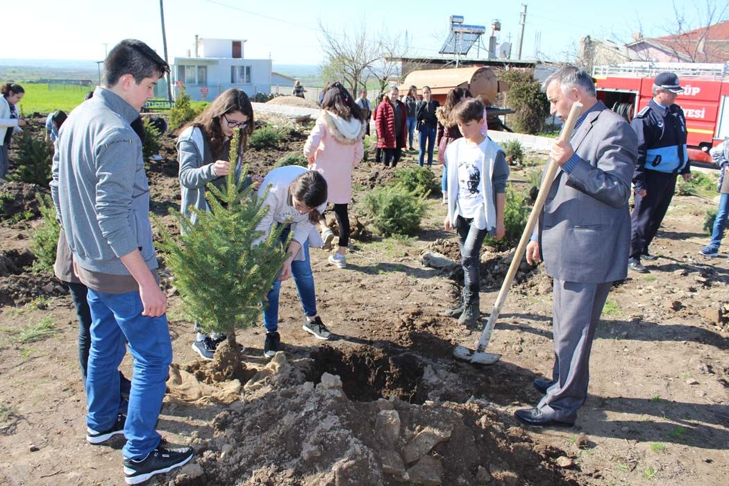 AÄžAÃ‡LANDIRMA Ã‡ALIÅžMALARI (2018)