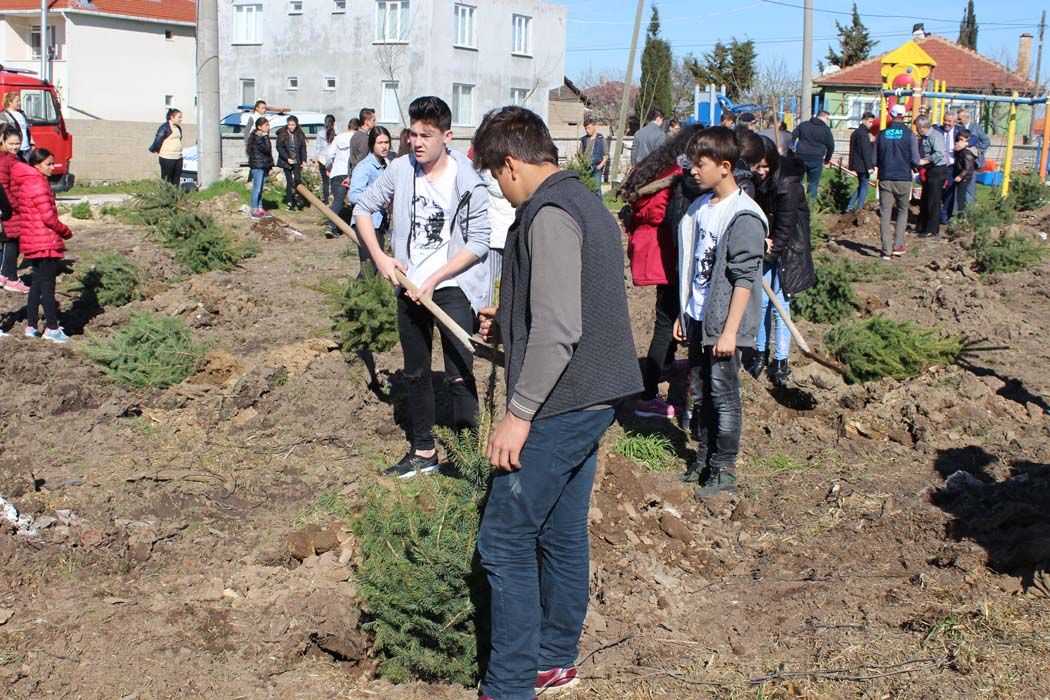 AÄžAÃ‡LANDIRMA Ã‡ALIÅžMALARI (2018)