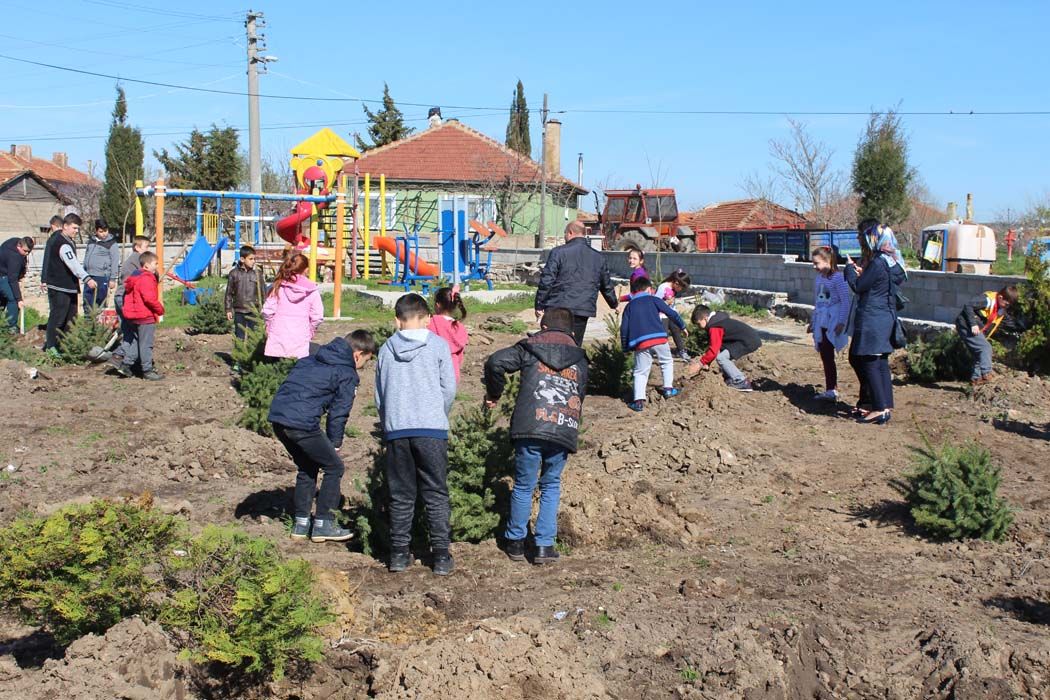 AÄžAÃ‡LANDIRMA Ã‡ALIÅžMALARI (2018)