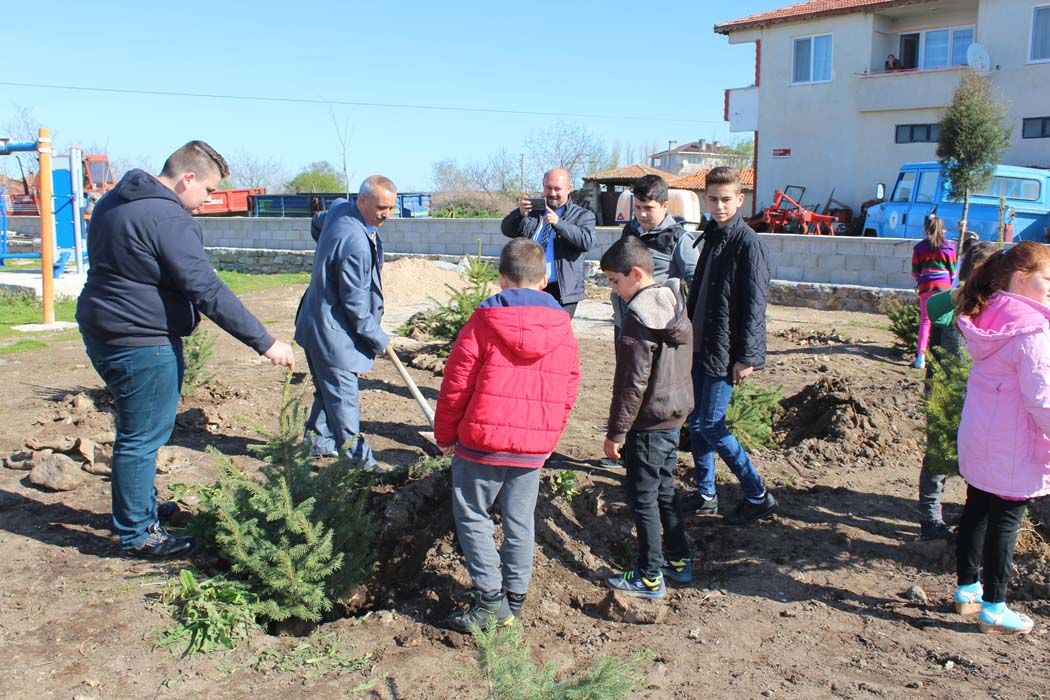 AÄžAÃ‡LANDIRMA Ã‡ALIÅžMALARI (2018)