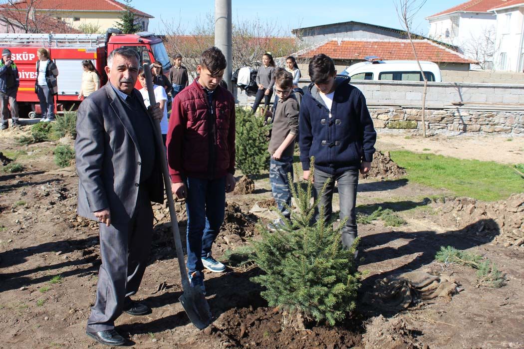 AÄžAÃ‡LANDIRMA Ã‡ALIÅžMALARI (2018)