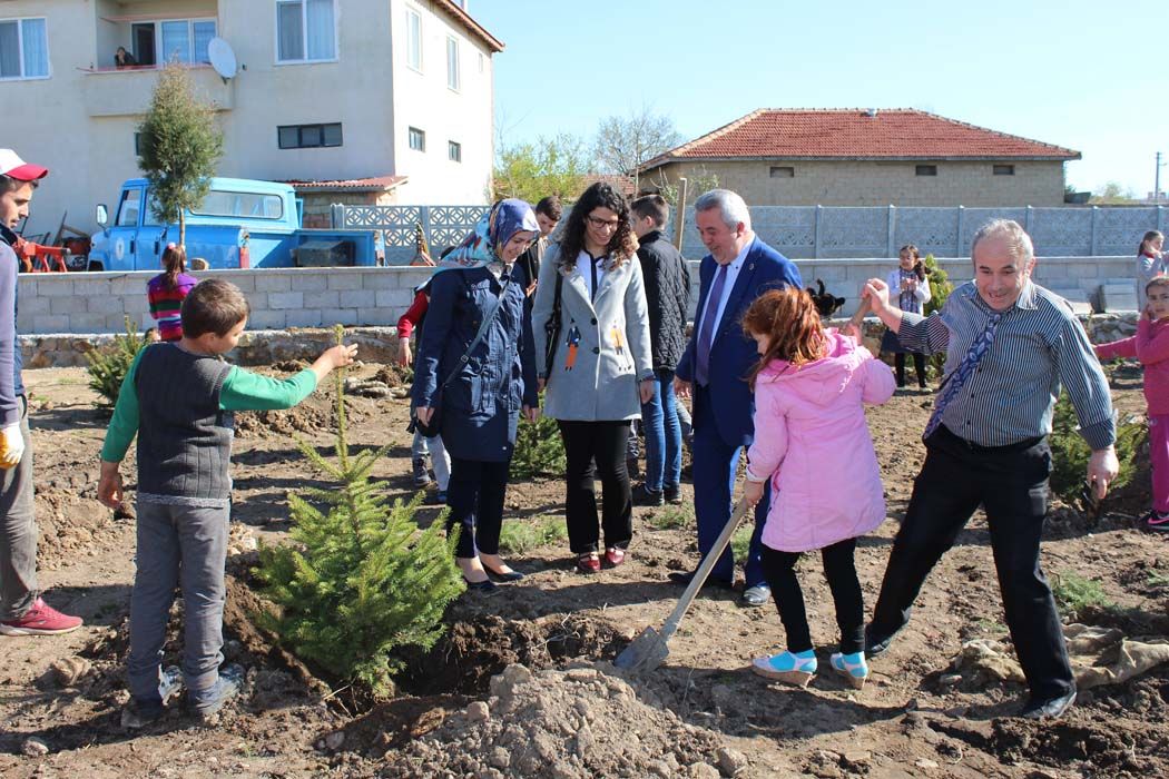 AÄžAÃ‡LANDIRMA Ã‡ALIÅžMALARI (2018)