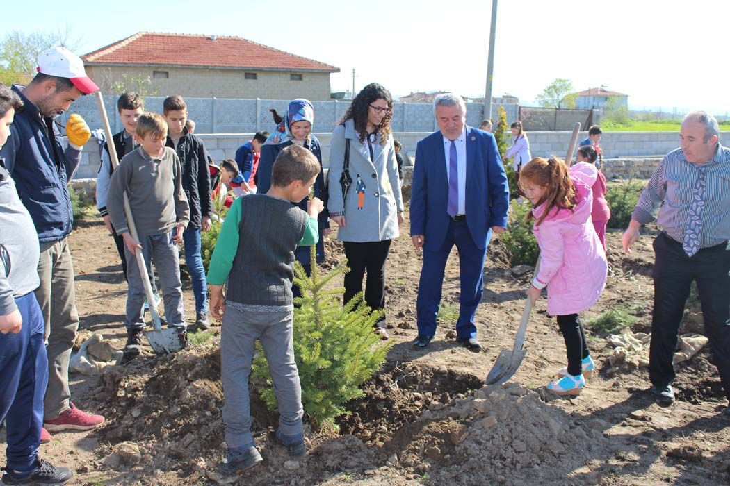 AÄžAÃ‡LANDIRMA Ã‡ALIÅžMALARI (2018)