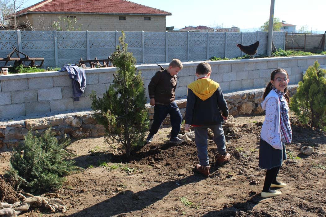 AÄžAÃ‡LANDIRMA Ã‡ALIÅžMALARI (2018)