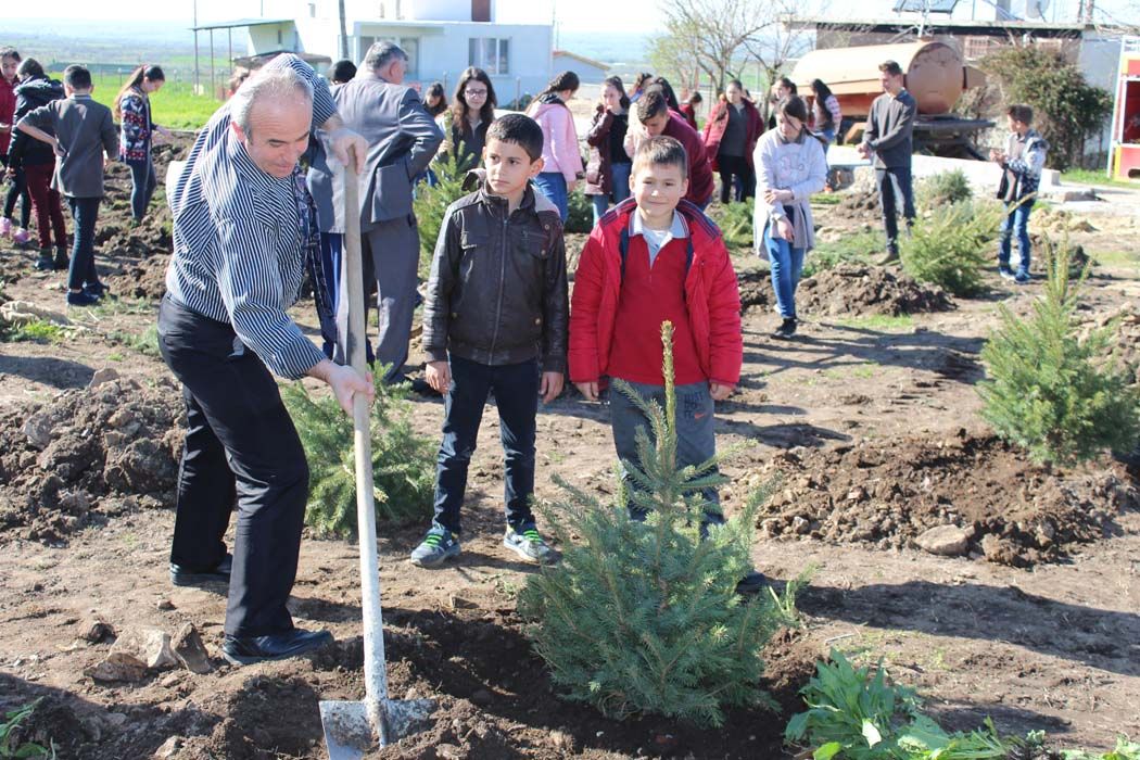 AÄžAÃ‡LANDIRMA Ã‡ALIÅžMALARI (2018)