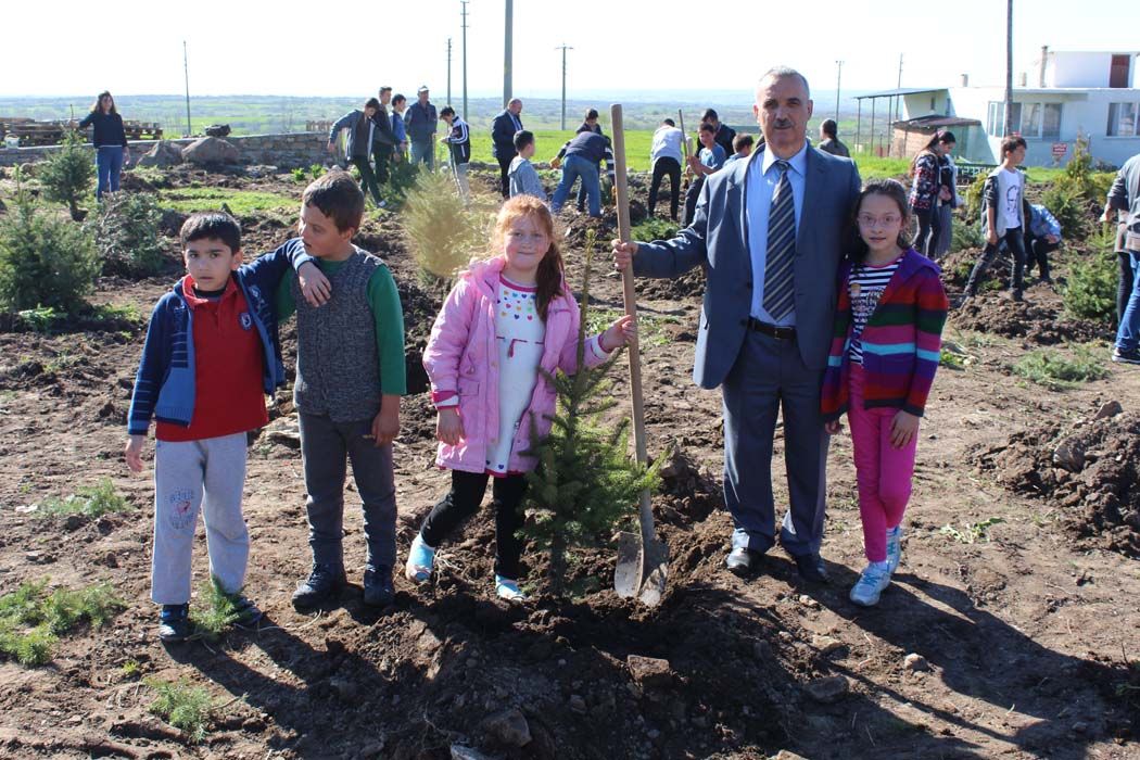 AÄžAÃ‡LANDIRMA Ã‡ALIÅžMALARI (2018)