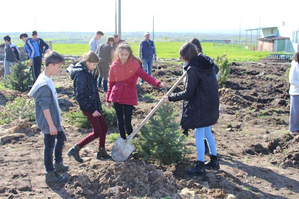 AÄžAÃ‡LANDIRMA Ã‡ALIÅžMALARI (2018)