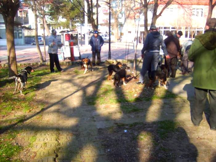 Beldemizdeki kedi ve köpeklere kuduz aşısı yapıldı
