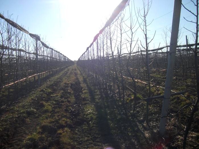 Asma Kursu kapsamında saha gezisi düzenlendi