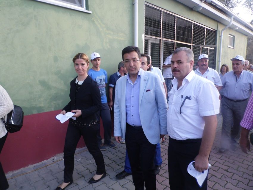 Barış ve Dostluk Maçı