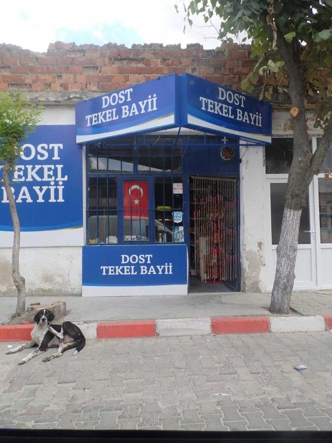 Üsküp'ü bayraklarla donatıyoruz