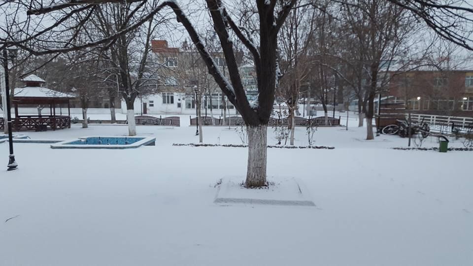 Üsküp'te kar yağışı etkili oldu