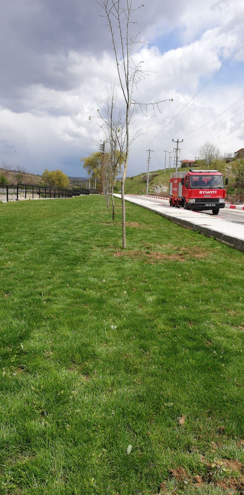 Ağaçlandırma Çalışmaları (2019)