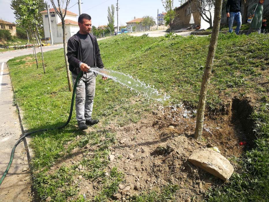 Ağaçlandırma Çalışmaları (2019)