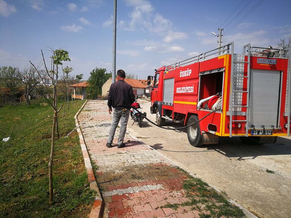 Ağaçlandırma Çalışmaları (2019)