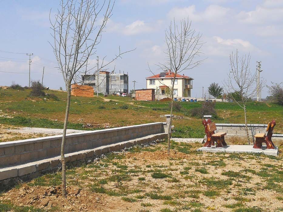 Ağaçlandırma Çalışmaları (2019)