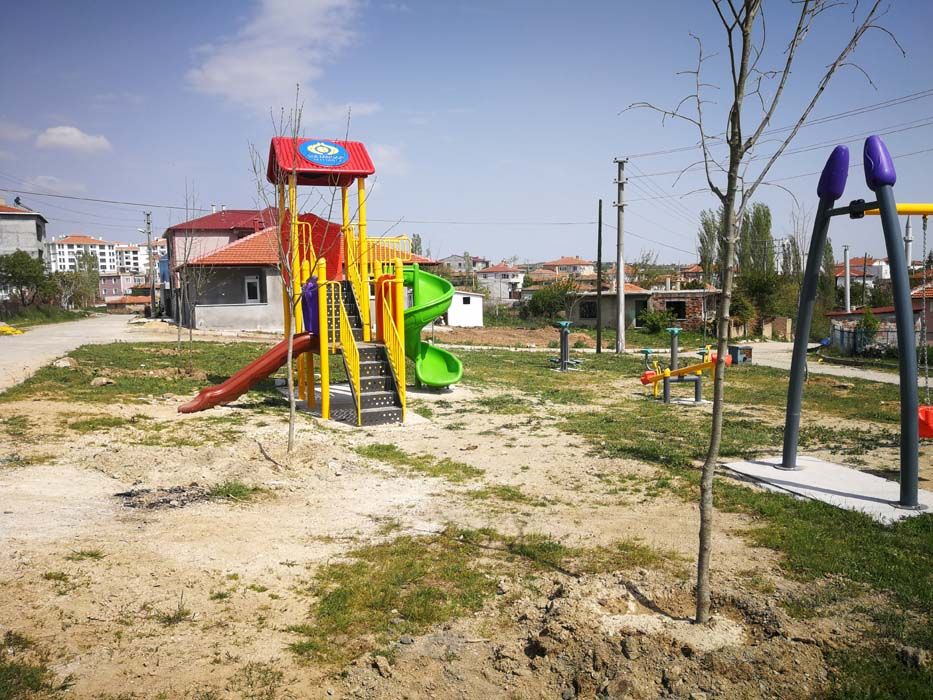 Ağaçlandırma Çalışmaları (2019)