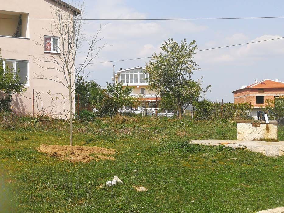 Ağaçlandırma Çalışmaları (2019)