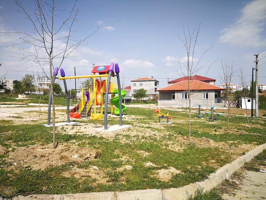 Ağaçlandırma Çalışmaları (2019)