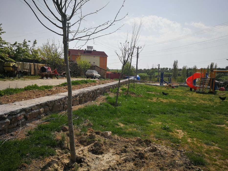 Ağaçlandırma Çalışmaları (2019)