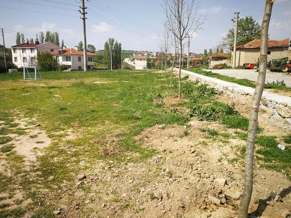 Ağaçlandırma Çalışmaları (2019)