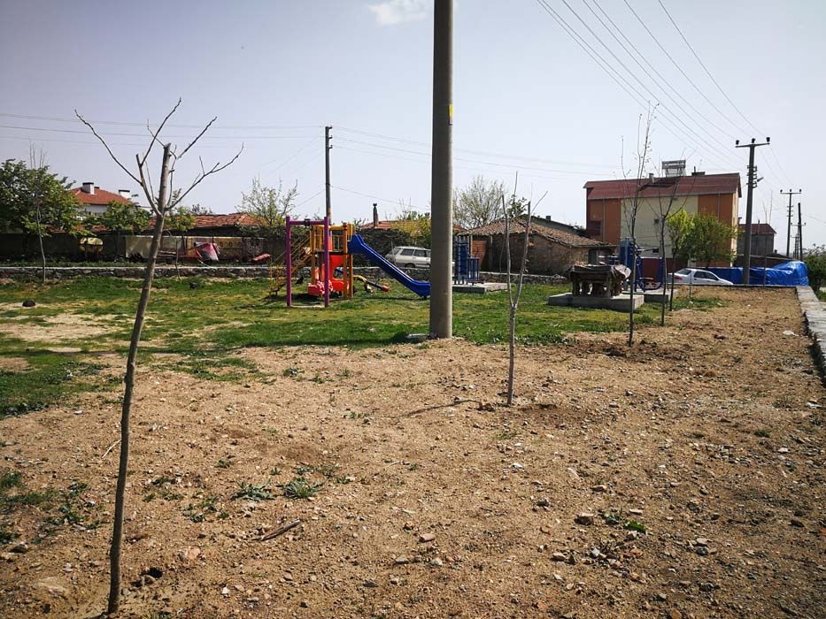 Ağaçlandırma Çalışmaları (2019)