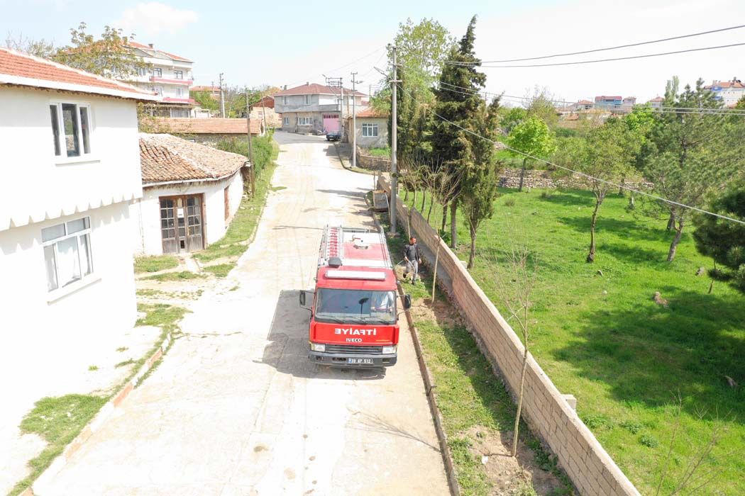 Ağaçlandırma Çalışmaları (2019)