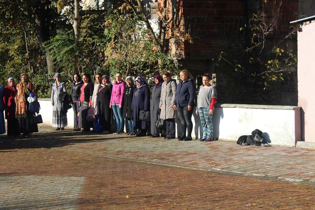 CUMHURİYET BAYRAMI KUTLAMA ETKİNLİKLERİ (2017)