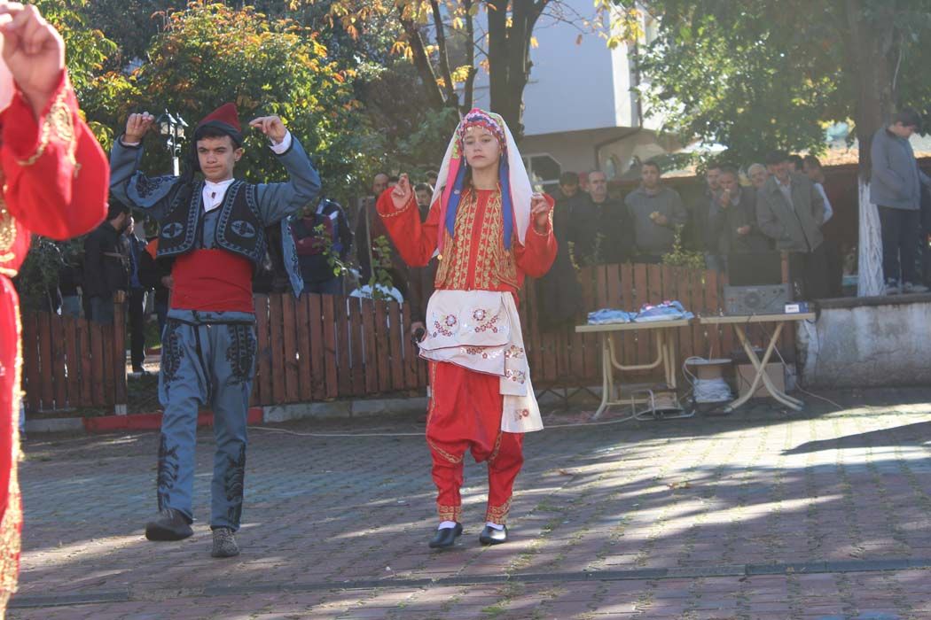 CUMHURİYET BAYRAMI KUTLAMA ETKİNLİKLERİ (2017)