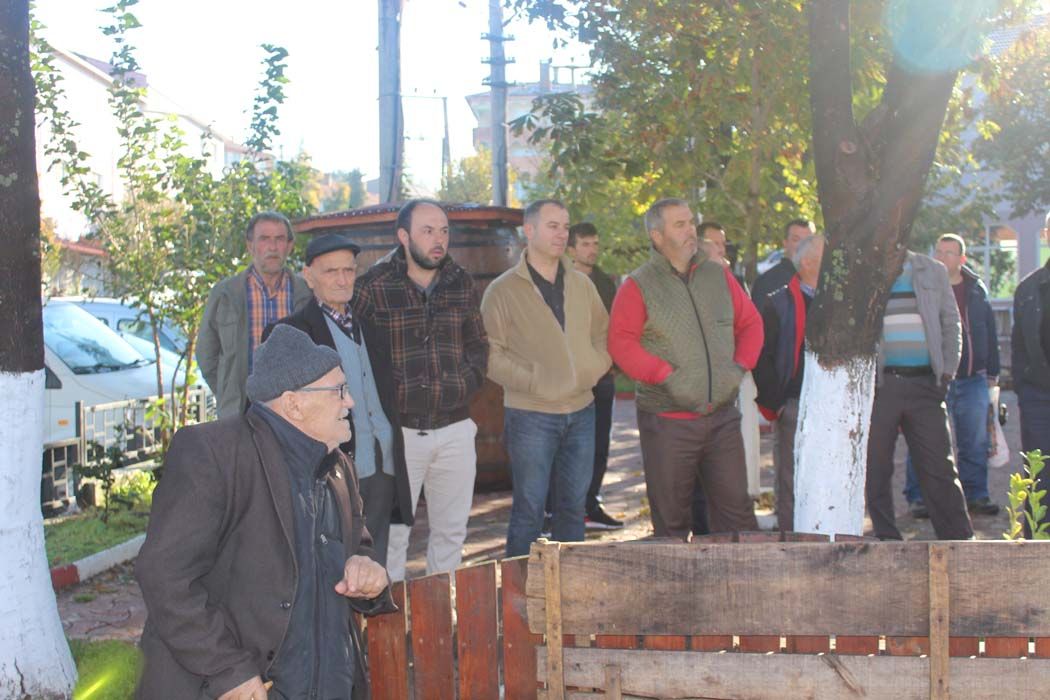 CUMHURİYET BAYRAMI KUTLAMA ETKİNLİKLERİ (2017)