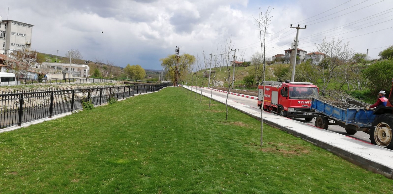 Belediyemizin ağaçlandırma çalışmaları kaldığı yerden devam ediyor…